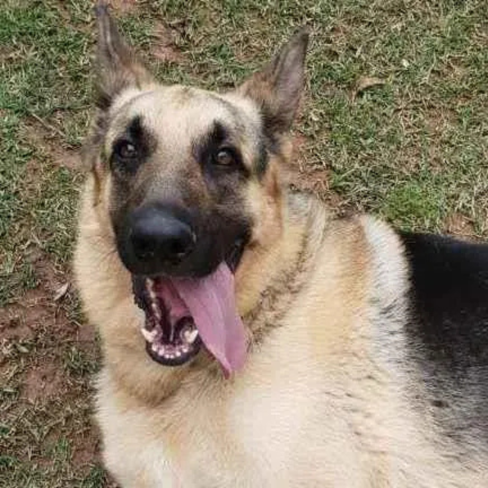 Max
